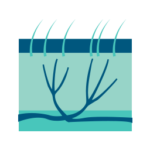 icona-dermatologo